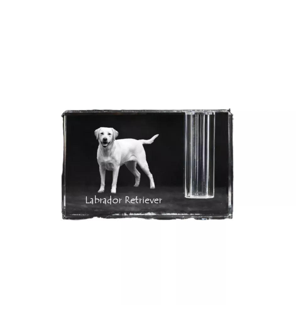 Labrador Retriever I - Pen stand, crystal organiser with dog photo, unique desk decoration by Art-Dog brand