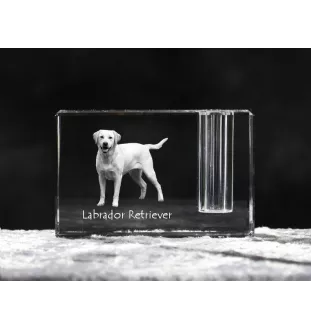 Labrador Retriever, retriever du Labrador I - Porte-stylos, organiseur en cristal avec photo de chien, décoration de bureau unique par la marque Art-Dog