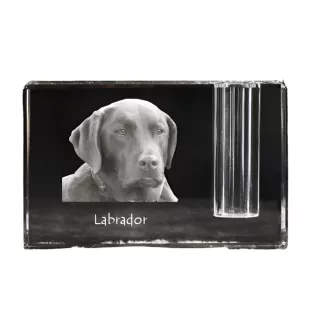 Labrador Retriever - Stifthalter, Kristallorganizer mit Hundefoto, einzigartige Schreibtischdekoration der Marke Art-Dog
