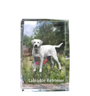 Labrador Retriever I kryształ z psem Art-Dog