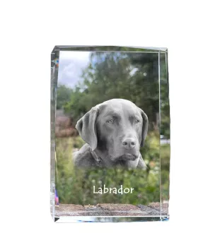 Labrador Retriever - Kristall mit einem Hundebild, Bild im Glas, moderne Ausstellung des Art-Dog-Bildes.