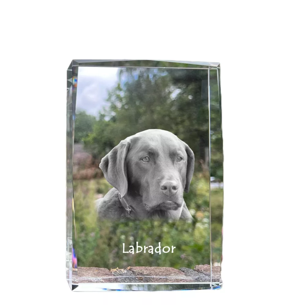 Labrador Retriever - Kristall mit einem Hundebild, Bild im Glas, moderne Ausstellung des Art-Dog-Bildes.