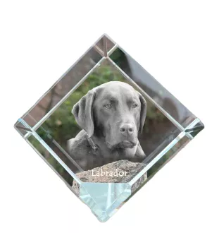 Labrador Retriever - Kristallwürfel mit Bild, Pferdebild im Kristall, sechseckiger Papierclip der Marke Art-Dog