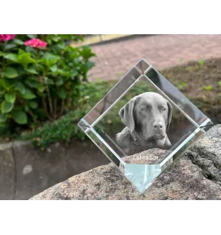 Labrador Retriever - Kristallwürfel mit Bild, Pferdebild im Kristall, sechseckiger Papierclip der Marke Art-Dog