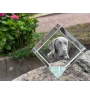 Labrador Retriever - Kristallwürfel mit Bild, Pferdebild im Kristall, sechseckiger Papierclip der Marke Art-Dog