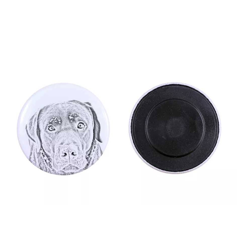 Labrador Retriever, retriever du Labrador - aimant avec un œil de chien, exceptionnellement léger, aimant puissant, produit fabriqué à la main par la marque Art-Dog