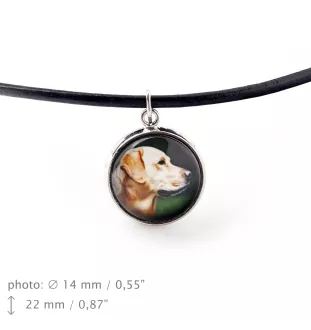 Labrador Retriever - jewelry with your photo box, set of necklace and earrings, personalized products from the Art-Dog brand