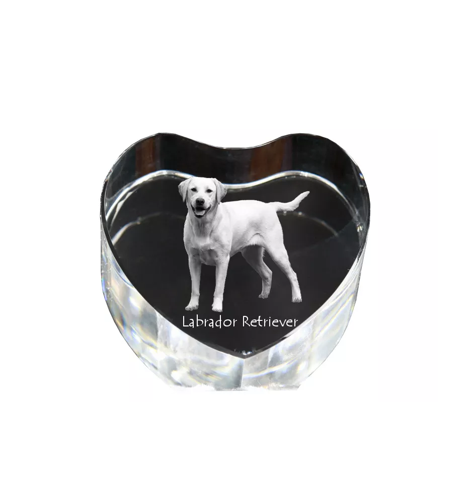 Labrador Retriever, retriever du Labrador I - une photo de chien dans un cristal, un cœur en cristal, un cadre photo exceptionnel de la marque Art-Dog