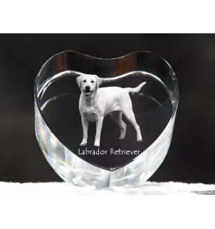Labrador Retriever I - a photo of a dog in crystal, crystal heart, unique photo frame from the Art-Dog brand