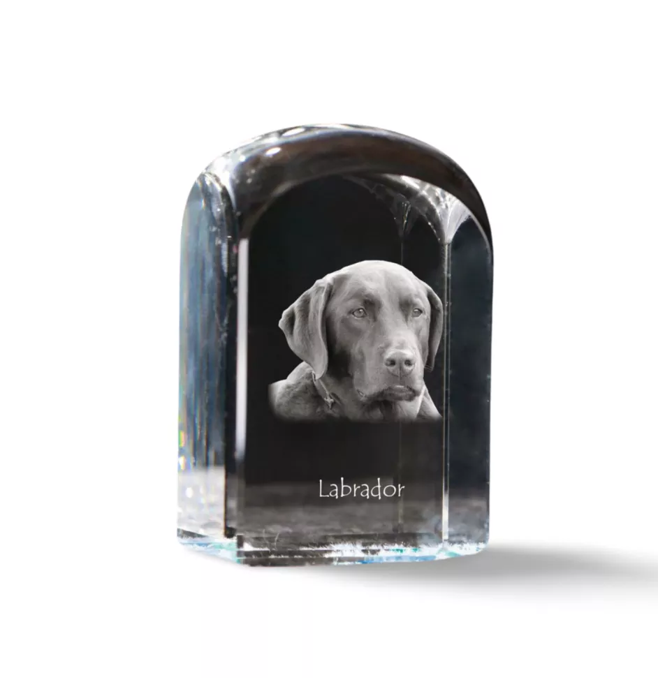 Labrador Retriever, retriever du Labrador - un cube de cristal avec une photo, une photo de chien dans le cristal, un presse-papiers cubique de la marque Art-Dog