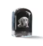 Labrador Retriever, retriever du Labrador - un cube de cristal avec une photo, une photo de chien dans le cristal, un presse-papiers cubique de la marque Art-Dog