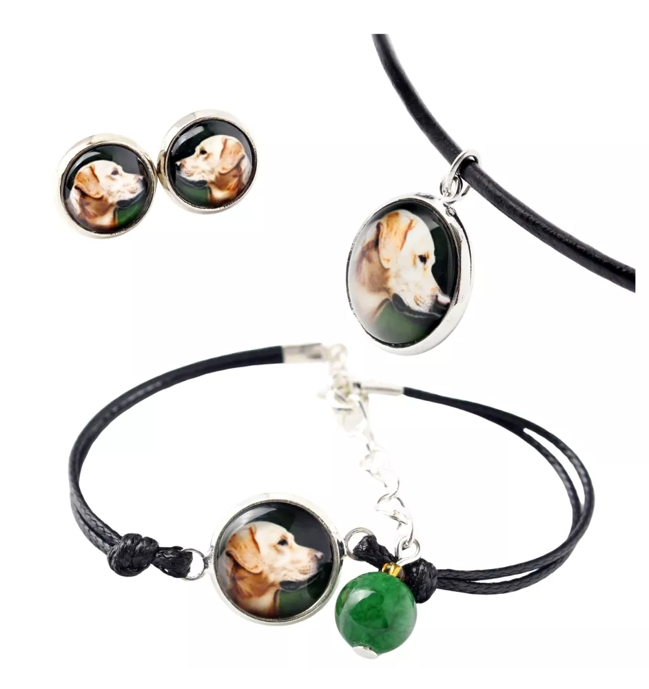 Labrador Retriever - a set of jewelry in a box, necklace, earrings, bracelet, products from the Art-Dog brand