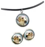Labrador Retriever I - jewelry with your photo box, set of necklace and earrings, personalized products from the Art-Dog brand