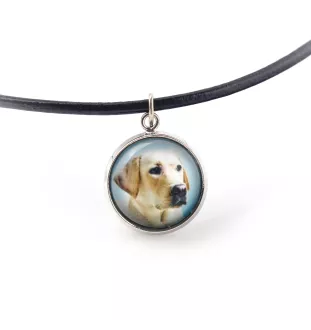 Labrador Retriever, retriever du Labrador I - boîte à bijoux avec votre photo, ensemble collier et boucles d'oreilles, produits personnalisés de la marque Art-Dog