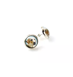 Labrador Retriever, retriever du Labrador I - boîte à bijoux avec votre photo, ensemble collier et boucles d'oreilles, produits personnalisés de la marque Art-Dog