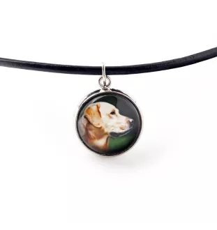 Labrador Retriever, retriever du Labrador - ensemble de bijoux avec votre photo, ensemble fait à la main, bracelet et collier de la marque Art.-Dog