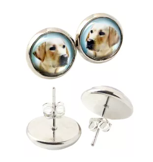 Labrador Retriever I kolczyki w pudełku ze zdjęciem Art-Dog