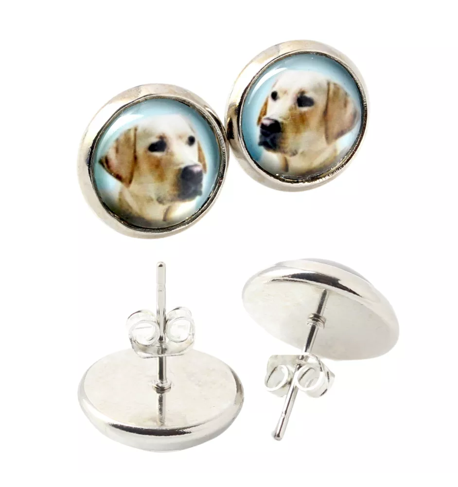 Labrador Retriever, retriever du Labrador I - boucles d'oreilles dans une boîte, votre photo, bijoux faits à la main, produit de la marque Art-Dog.