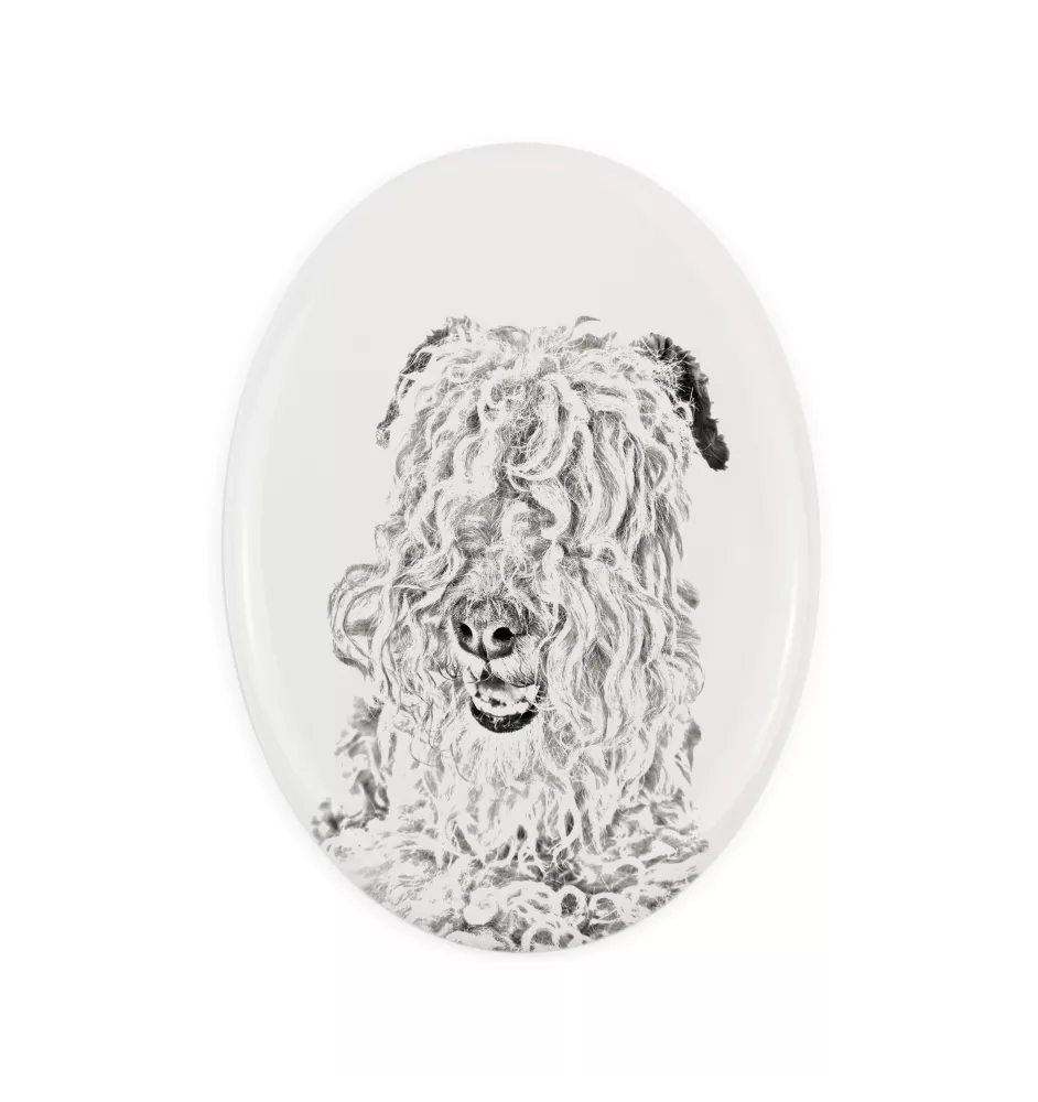 Lakeland Terrier płyta nagrobna ze zdjęciem psa Art-Dog