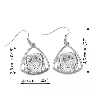 Labrador Retriever, retriever du Labrador - boucles d'oreilles avec chien, boucles d'oreilles pendantes avec photo, bijoux personnalisés avec impression de la marque Art-Dog