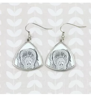 Labrador Retriever - dog earrings, hanging earrings with a picture, personalized jewelry with Art-Dog brand print