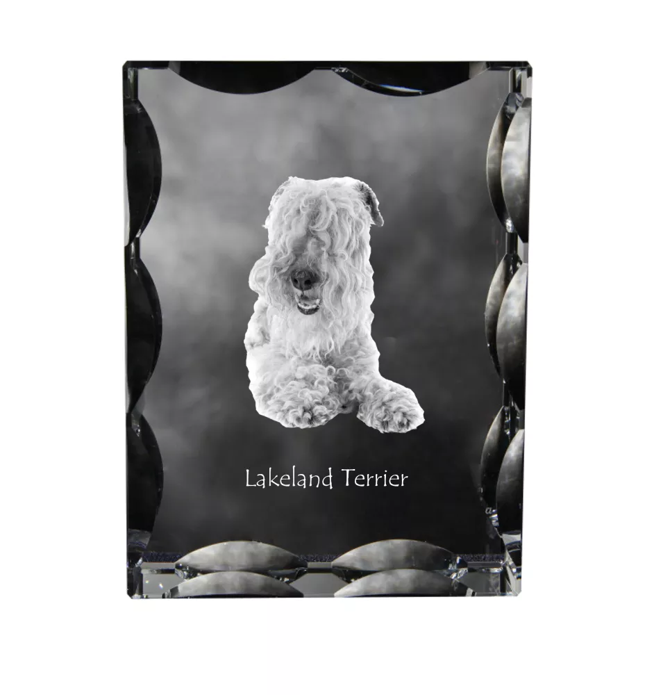 Lakeland Terrier - Kristall mit einem Hundebild, Glasstatuette mit einem Bild, einzigartiger Bilderrahmen der Marke Art-Dog