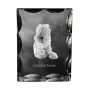 Lakeland Terrier - crystal with a picture of a dog, glass statuette with a picture, unique frame with a picture from Art-Dog brand
