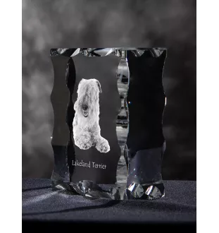 Lakeland Terrier - cristal avec photo de chien, statuette en verre avec photo, cadre exceptionnel avec photo de la marque Art-Dog