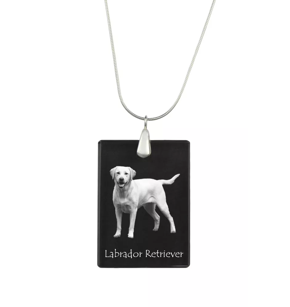 Labrador Retriever I - Crystal pendant with dog, silver necklace with photo, personalised pendant by Art-Dog brand