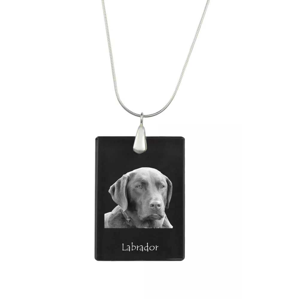 Labrador Retriever - Kristallanhänger mit Hund, Silberhalskette mit Foto, personalisierter Anhänger der Marke Art-Dog