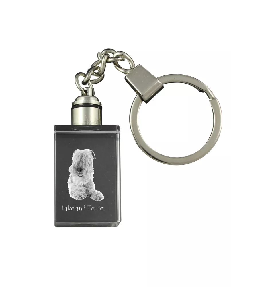 Lakeland Terrier - Porte-clés en cristal avec photo de chien, porte-clés lumineux, cadeau unique de la marque Art-Dog