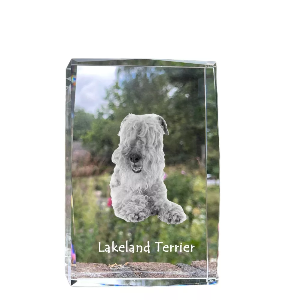 Lakeland Terrier - crystal with a picture of a dog, photo in glass, modern exhibition of Art-Dog brand photo