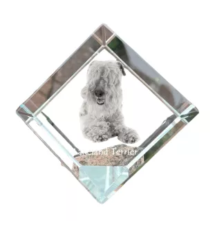 Lakeland Terrier - un cube de cristal avec une photo, une photo de cheval dans le cristal, un presse-papiers cubique de la marque Art-Dog