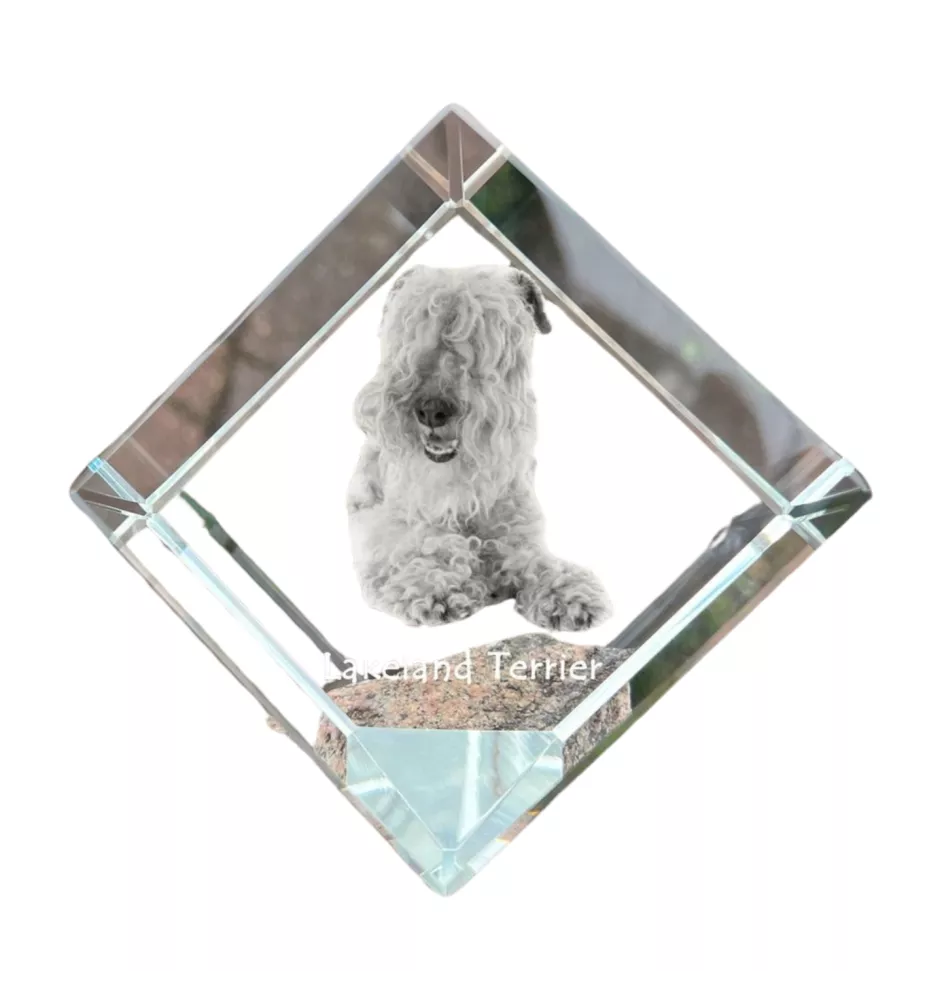 Lakeland Terrier kostka kryształowa z psem Art-Dog