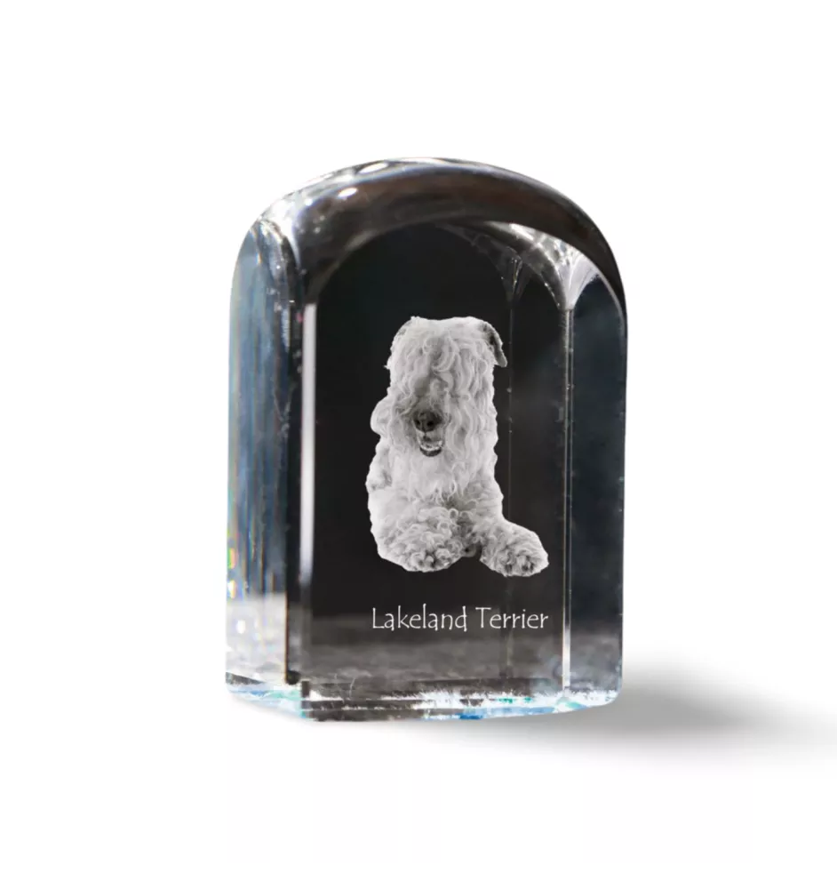 Lakeland Terrier - crystal cube with a photo, photo of a dog in crystal, cubic paperweight from Art-Dog brand