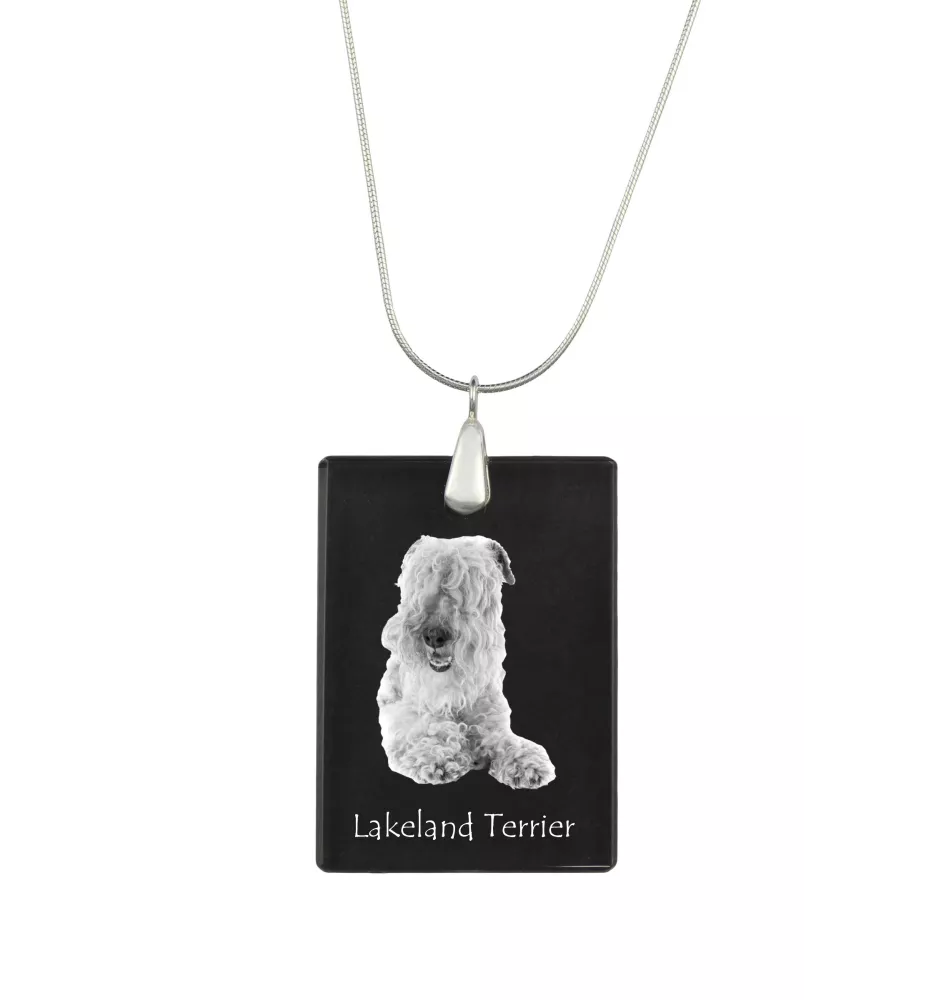 Lakeland Terrier - Pendentif en cristal avec chien, collier en argent avec photo, pendentif personnalisé par la marque Art-Dog