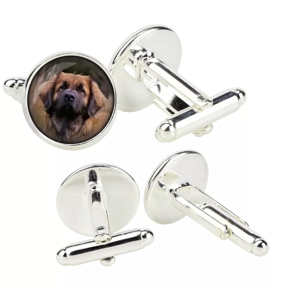 Leonberger - cufflinks in a box, handmade jewelry, product of the Art-Dog brand
