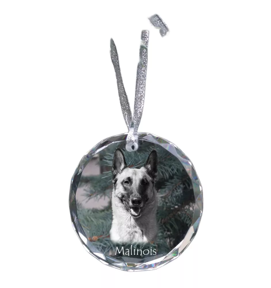 Malinois chien de berger belge - boule de Noël en cristal avec une photo, photo de chien dans le cristal, décoration personnalisée pour sapin de Noël de la marque Art-Dog