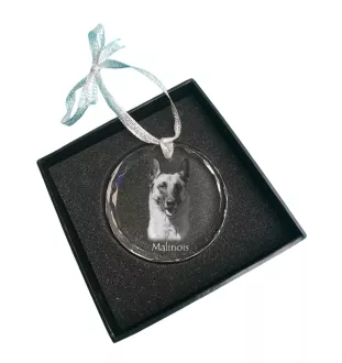 Malinois chien de berger belge - boule de Noël en cristal avec une photo, photo de chien dans le cristal, décoration personnalisée pour sapin de Noël de la marque Art-Dog