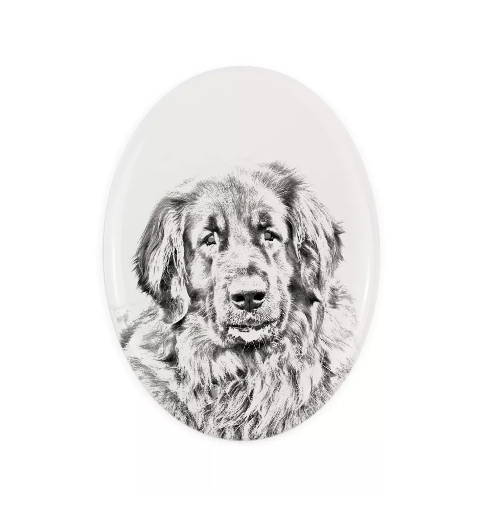 Leonberger - Gedenktafel mit einem Foto eines Hundes, Grabplatte mit Druck, personalisierte ovale Platte der Marke Art-Dog