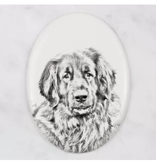 Leonberger płyta nagrobna ze zdjęciem psa Art-Dog