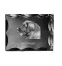 Leonberger, Chien De Leonberg - cristal avec photo de chien, statuette en verre avec photo, cadre exceptionnel avec photo de la marque Art-Dog