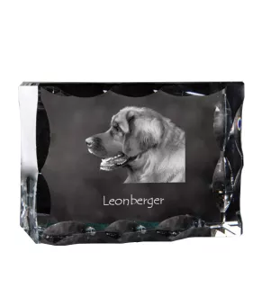 Leonberger - crystal with a picture of a dog, glass statuette with a picture, unique frame with a picture from Art-Dog brand