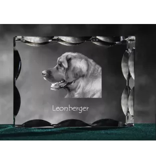 Leonberger - Kristall mit einem Hundebild, Glasstatuette mit einem Bild, einzigartiger Bilderrahmen der Marke Art-Dog