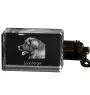 Leonberger, Chien De Leonberg - Porte-clés en cristal avec photo de chien, porte-clés lumineux, cadeau unique de la marque Art-Dog