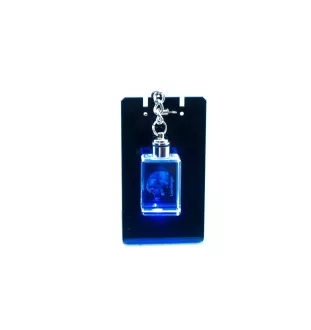 Leonberger - Crystal key ring with dog photo, illuminated key ring, unique gift by Art-Dog brand