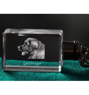 Leonberger - Schlüsselanhänger aus Kristall mit Hundefoto, beleuchteter Schlüsselanhänger, einzigartiges Geschenk der Marke Art-Dog