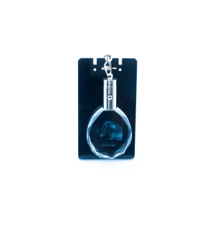 Leonberger - pendant with a photo of a dog, crystal key ring in a gift box, a unique gift by Art-Dog