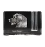 Leonberger, Chien De Leonberg - Porte-stylos, organiseur en cristal avec photo de chien, décoration de bureau unique par la marque Art-Dog