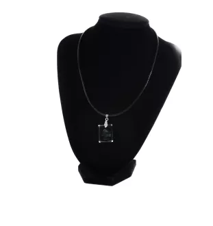 Leonberger - Kristallanhänger für Hunde, Foto-Halskette, einzigartiger Schmuck von Art-Dog